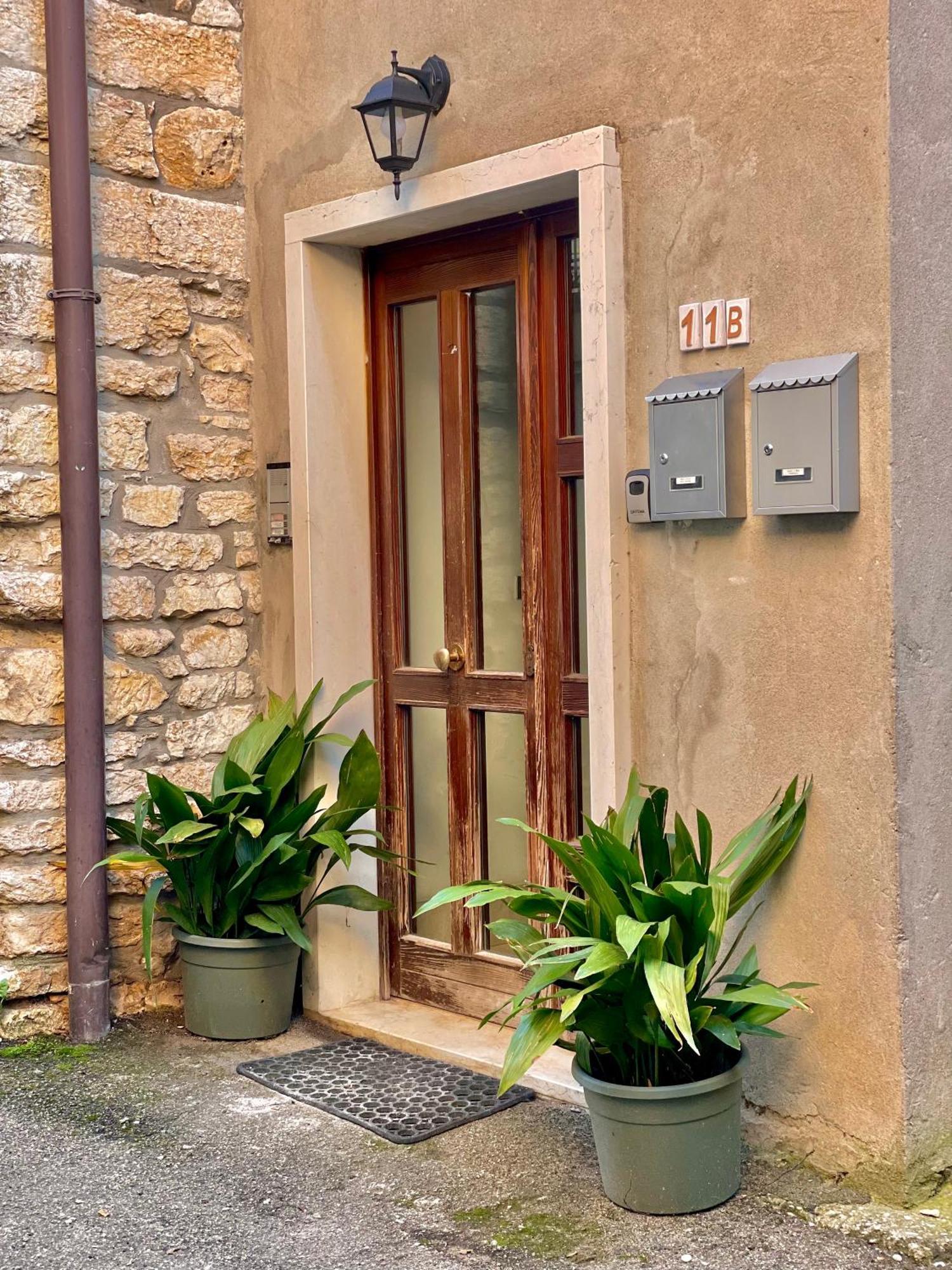 Ivy - Apartment